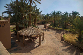 Camping Caravane Rose du Sable