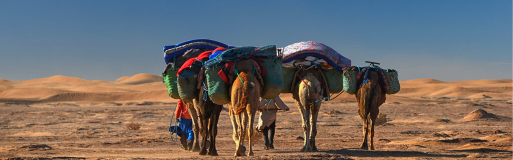 caravan rose du sable